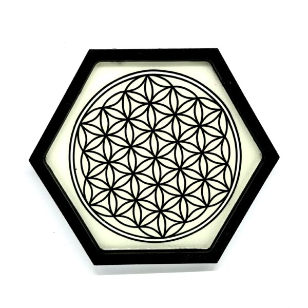 Flower Of Life – White & Black