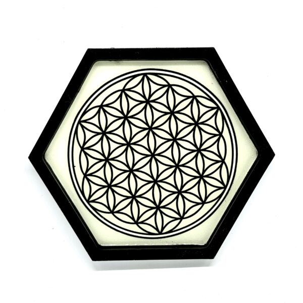 Flower Of Life – White & Black